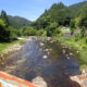 長野県根羽川へアユ釣り