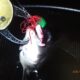 浜名湖のチニング23回目