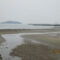 三河湾の河口でガサガサをやってみた
